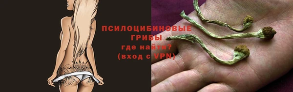 герыч Арсеньев